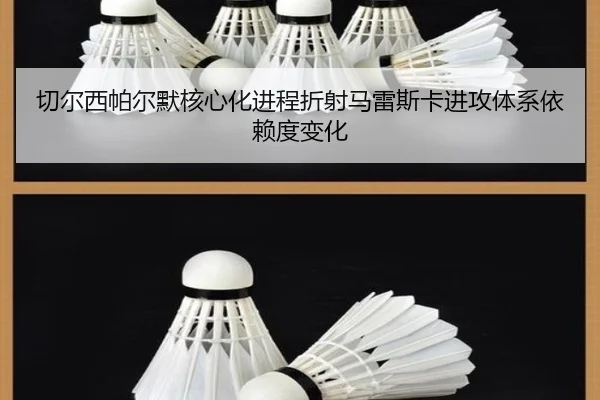 切尔西帕尔默核心化进程折射马雷斯卡进攻体系依赖度变化
